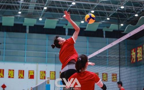 中国排球爆料最新消息,揭秘赛场风云与幕后故事